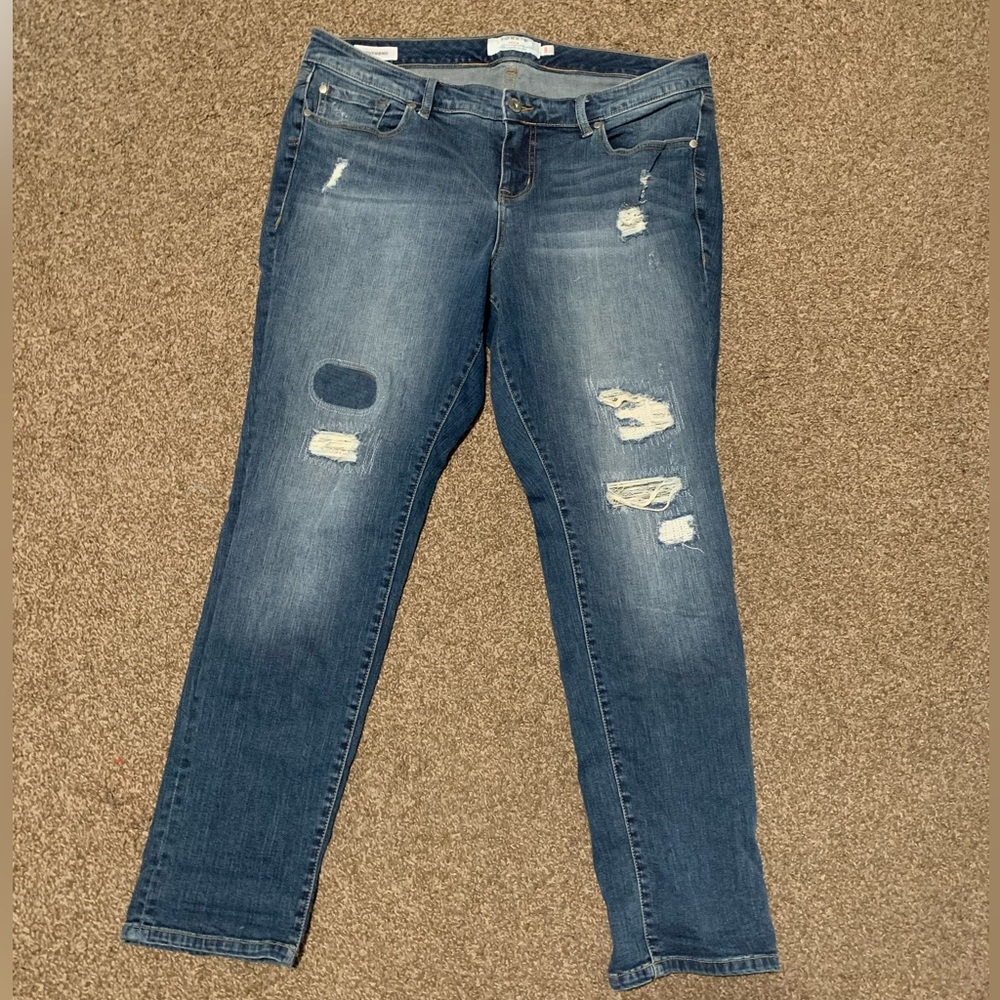 Torrid blue jeans